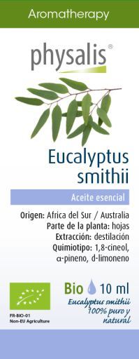 Essência de Eucalyptus Smithii 10 ml
